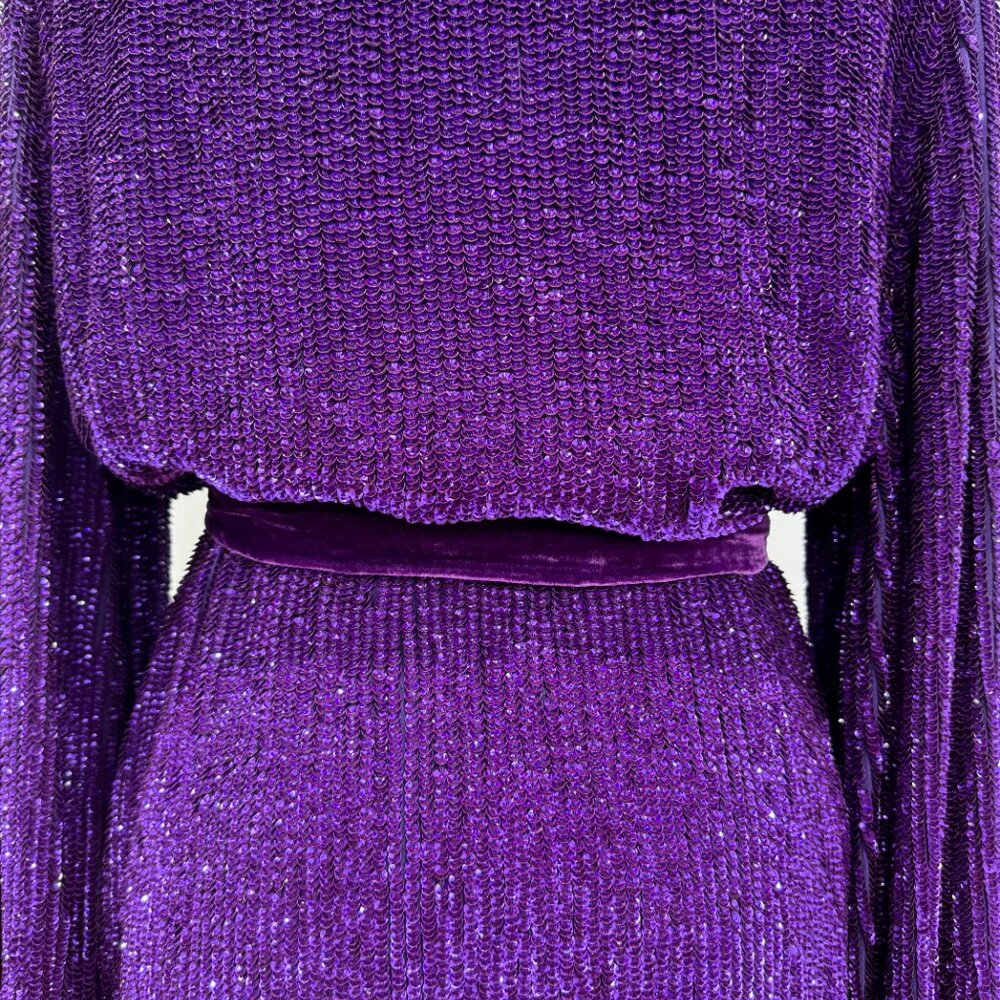 Retrofête gabrielle velvet-trimmed sequined chiffon mini wrap dress, Size M - Picture 5 of 13